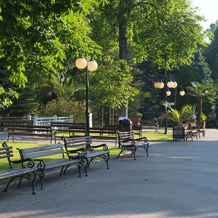 Przy Deptaku I Parku Zdrojowym - Zdroj