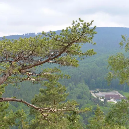 Appartamento Przy Deptaku I Parku Zdrojowym - Zdroj