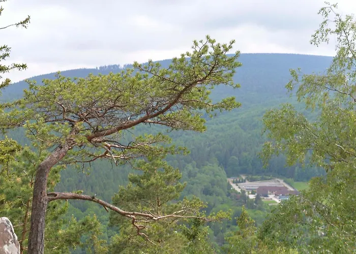 Apartman Przy Deptaku I Parku Zdrojowym - Zdroj